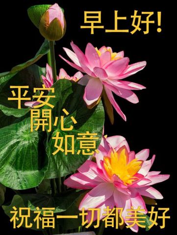 最新早上好祝福語(yǔ)，溫馨問(wèn)候開(kāi)啟美好一天